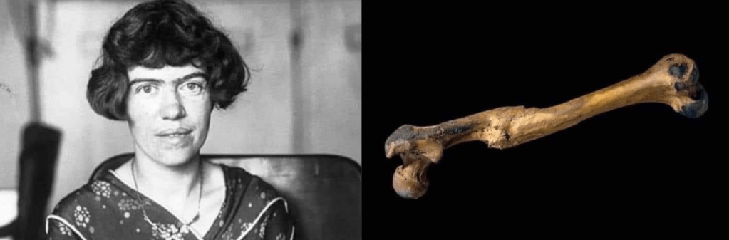 Aider quelqu&rsquo;un à traverser des difficultés est le point de départ de la&nbsp;civilisation